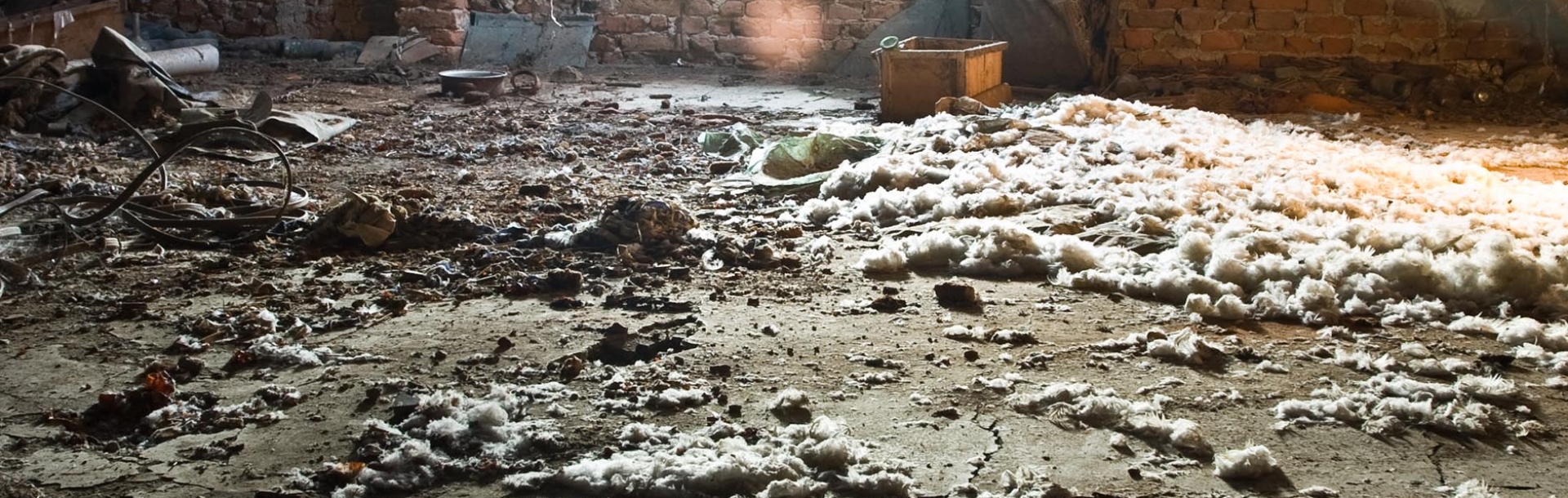 Uses of asbestos: a brief overview