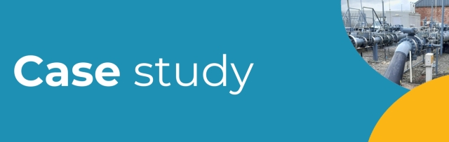 Case Study - How Pragmatic Consulting Ltd Transformed My Career
