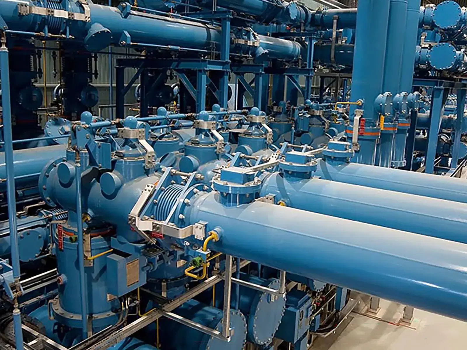 NG Person Substations Online Renewal