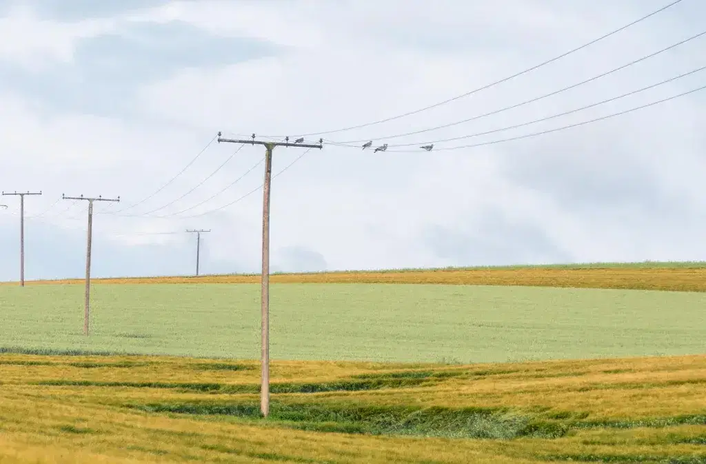 EUSR SHEA Telecoms Conversion